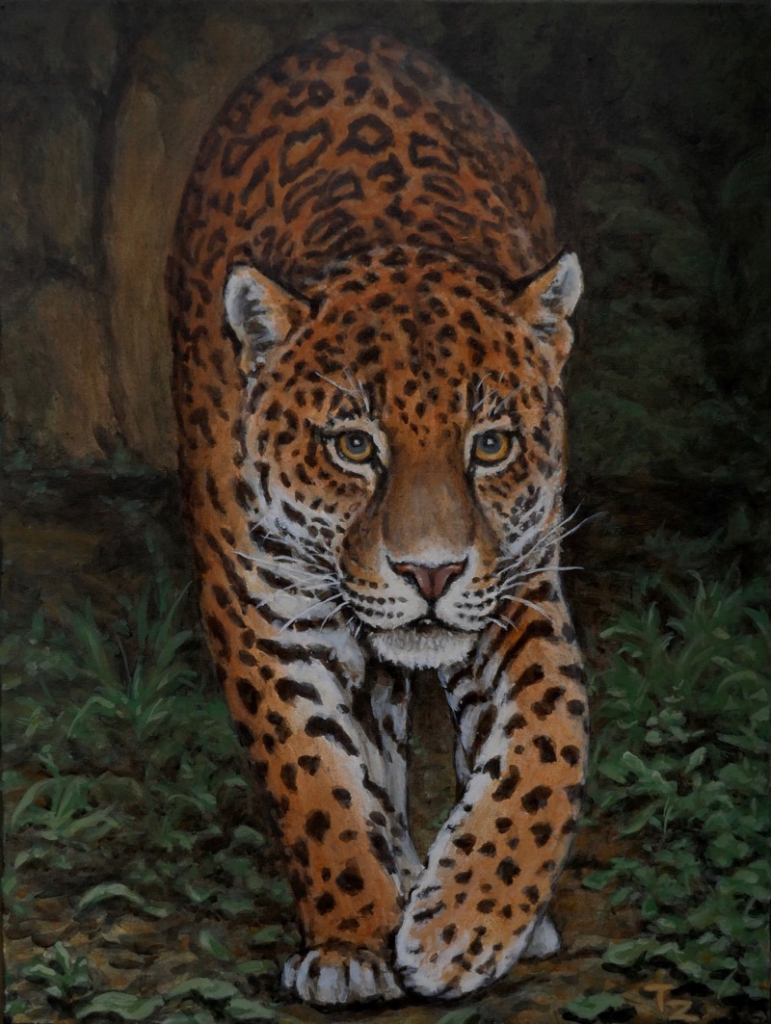The Jaguar, 2016