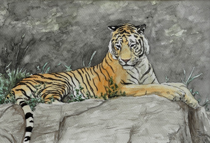 Tiger, 1989
